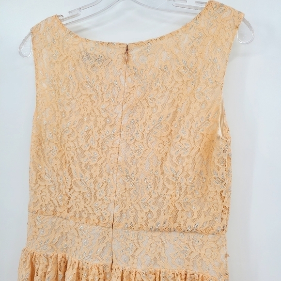 Loft Peach and Silver Metallic Pleated Lace Dress - Picture 4 of 9